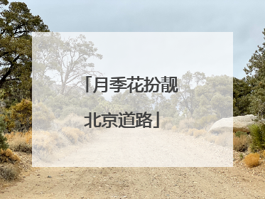 月季花扮靓北京道路