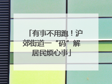 有事不用跑！沪郊街道一“码”解居民烦心事