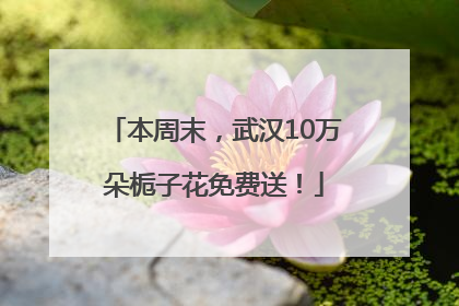 本周末，武汉10万朵栀子花免费送！