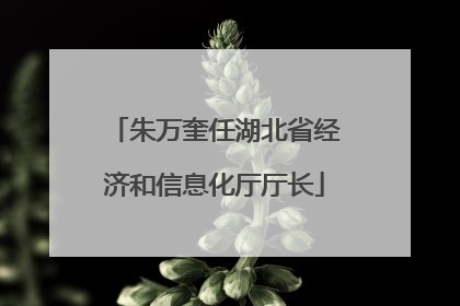 朱万奎任湖北省经济和信息化厅厅长