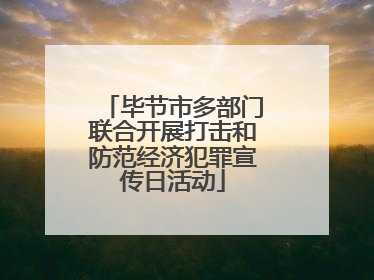 毕节市多部门联合开展打击和防范经济犯罪宣传日活动