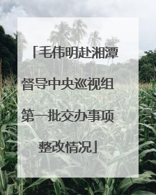毛伟明赴湘潭督导中央巡视组第一批交办事项整改情况