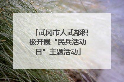 武冈市人武部积极开展“民兵活动日”主题活动