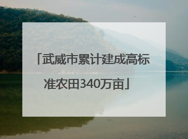 武威市累计建成高标准农田340万亩
