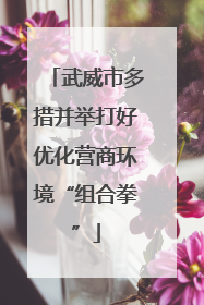 武威市多措并举打好优化营商环境“组合拳”