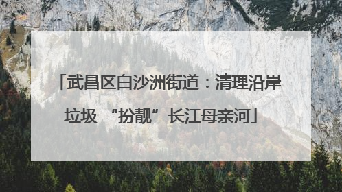 武昌区白沙洲街道：清理沿岸垃圾 “扮靓”长江母亲河