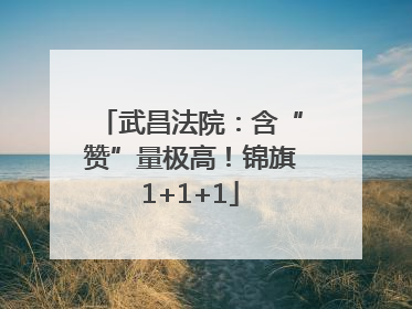 武昌法院：含“赞”量极高！锦旗1+1+1