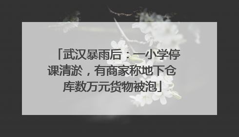 武汉暴雨后：一小学停课清淤，有商家称地下仓库数万元货物被泡