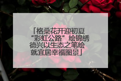 格桑花开迎初夏 “彩虹公路”绘锦绣 德兴以生态之笔绘就宜居幸福图景
