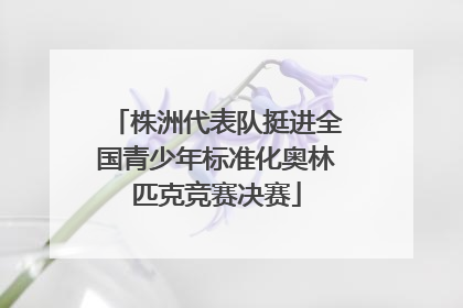 株洲代表队挺进全国青少年标准化奥林匹克竞赛决赛