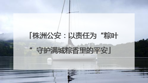 株洲公安：以责任为“粽叶”守护满城粽香里的平安