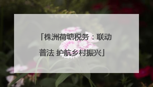 株洲荷塘税务：联动普法 护航乡村振兴