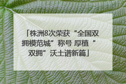 株洲8次荣获“全国双拥模范城”称号 厚植“双拥”沃土谱新篇