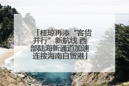 桂琼再添“客货并行”新航线 西部陆海新通道加速连接海南自贸港