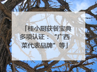 桂小厨获餐宝典多项认证：“广西菜代表品牌”等