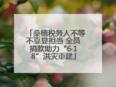 桑植税务人不等不靠显担当 全员捐款助力“6·18”洪灾重建