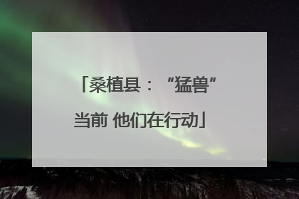 桑植县：“猛兽”当前 他们在行动
