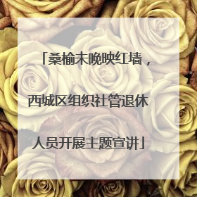 桑榆未晚映红墙，西城区组织社管退休人员开展主题宣讲