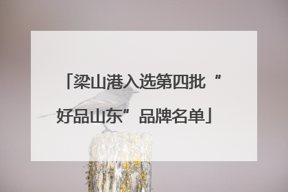 梁山港入选第四批“好品山东”品牌名单
