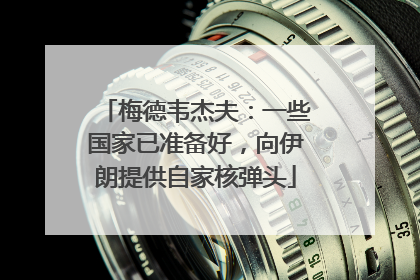 梅德韦杰夫：一些国家已准备好，向伊朗提供自家核弹头