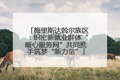 梅里斯达斡尔族区：织密新就业群体“暖心服务网”共同携手筑梦“新力量”