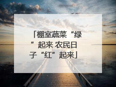 棚室蔬菜“绿”起来 农民日子“红”起来