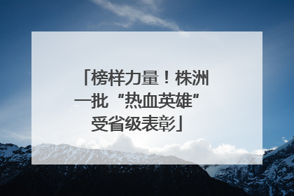 榜样力量！株洲一批“热血英雄”受省级表彰