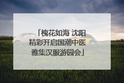 槐花如海 沈阳精彩开启国潮中医雅集汉服游园会