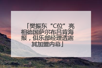 樊振东“C位”亮相德国萨尔布吕肯海报，俱乐部经理透露其加盟内幕