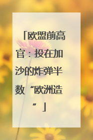 欧盟前高官：投在加沙的炸弹半数“欧洲造”