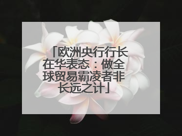 欧洲央行行长在华表态：做全球贸易霸凌者非长远之计