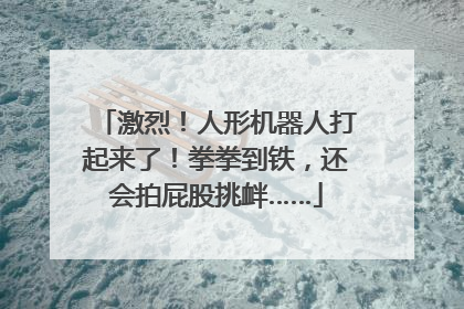 激烈！人形机器人打起来了！拳拳到铁，还会拍屁股挑衅……