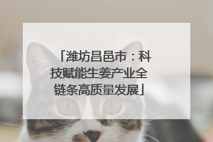潍坊昌邑市：科技赋能生姜产业全链条高质量发展