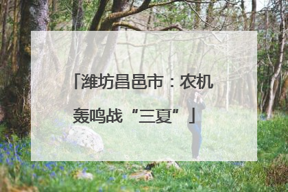 潍坊昌邑市：农机轰鸣战“三夏”
