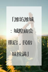 潍坊潍城：城隍庙会重启，民俗味拉满
