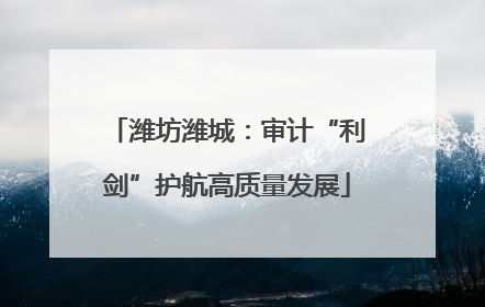 潍坊潍城：审计“利剑”护航高质量发展