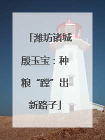 潍坊诸城殷玉宝：种粮“蹚”出新路子
