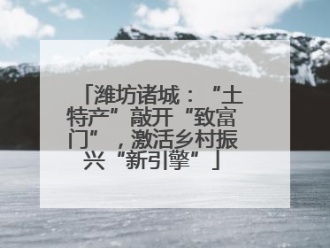 潍坊诸城：“土特产”敲开“致富门”，激活乡村振兴“新引擎”