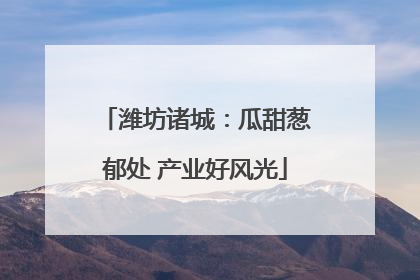 潍坊诸城：瓜甜葱郁处 产业好风光