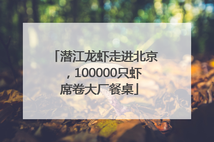 潜江龙虾走进北京，100000只虾席卷大厂餐桌