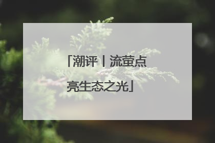 潮评丨流萤点亮生态之光