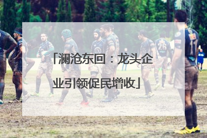 澜沧东回：龙头企业引领促民增收