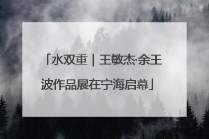 水双重｜王敏杰·余王波作品展在宁海启幕