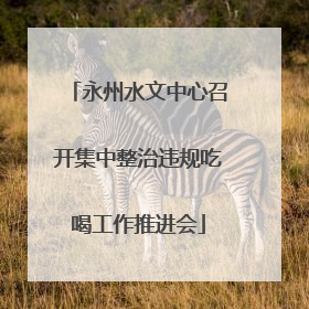 永州水文中心召开集中整治违规吃喝工作推进会