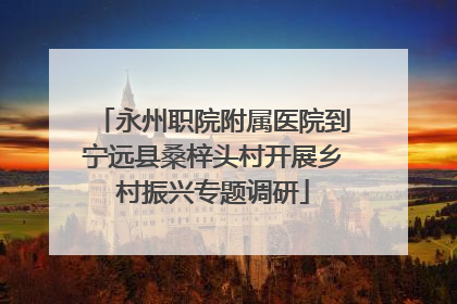 永州职院附属医院到宁远县桑梓头村开展乡村振兴专题调研