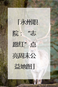 永州职院：“志愿红”点亮周末公益地图