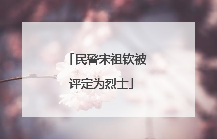 民警宋祖钦被评定为烈士