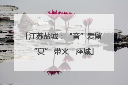 江苏盐城：“音”爱留“夏” 带火一座城