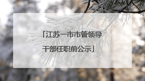 江苏一市市管领导干部任职前公示