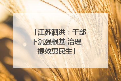 江苏泗洪：干部下沉强根基 治理提效惠民生